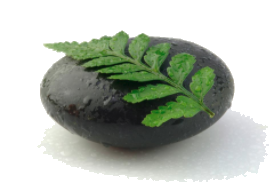 Rock